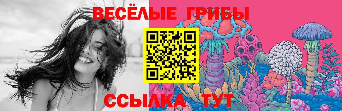 Псилоцибиновые грибы мухоморы Спасск-Дальний