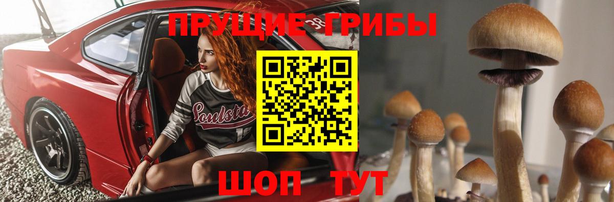Галлюциногенные грибы Psilocybine cubensis  купить  сайты  Спасск-Дальний  Вход с VPN  Галлюциногенные грибы Cubensis 